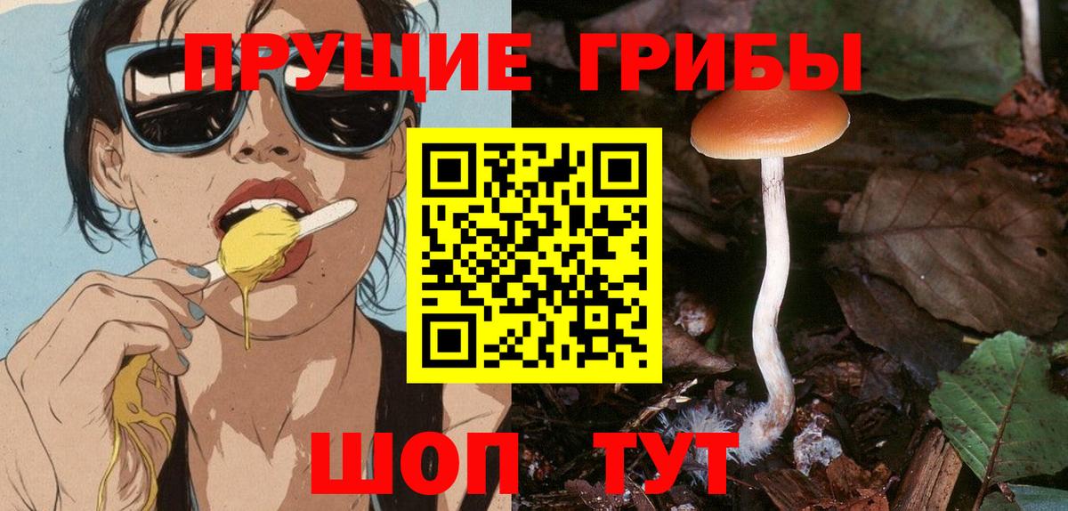 Галлюциногенные грибы MAGIC MUSHROOMS  Вход с VPN  Галлюциногенные грибы Psilocybine cubensis  Аксай 